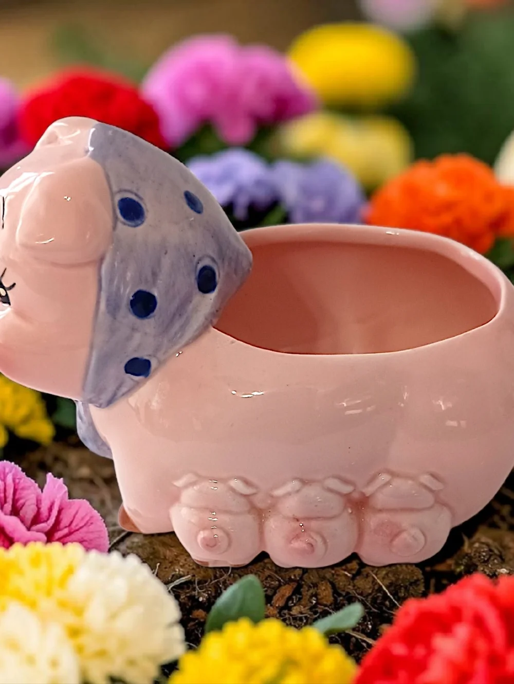 Vintage Lefton Anthropomorphic Pig Planter Ceramic Piglets Air‎ Plant Succulents